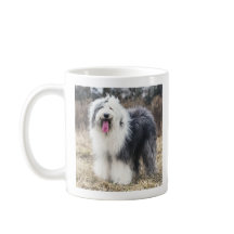 Happy Old English Sheepdog Fluffy Portrait Coffee 