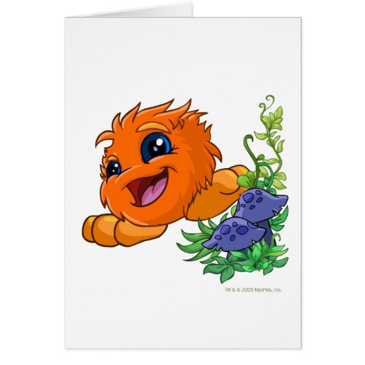 Happy orange JubJub in Neopia Central (Front)