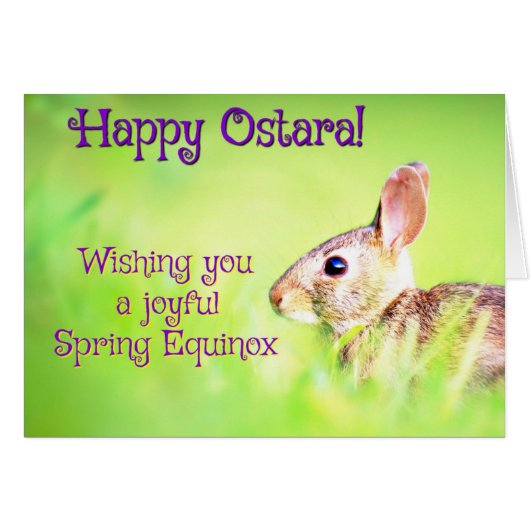 Happy Ostara Cards (Front Horizontal)