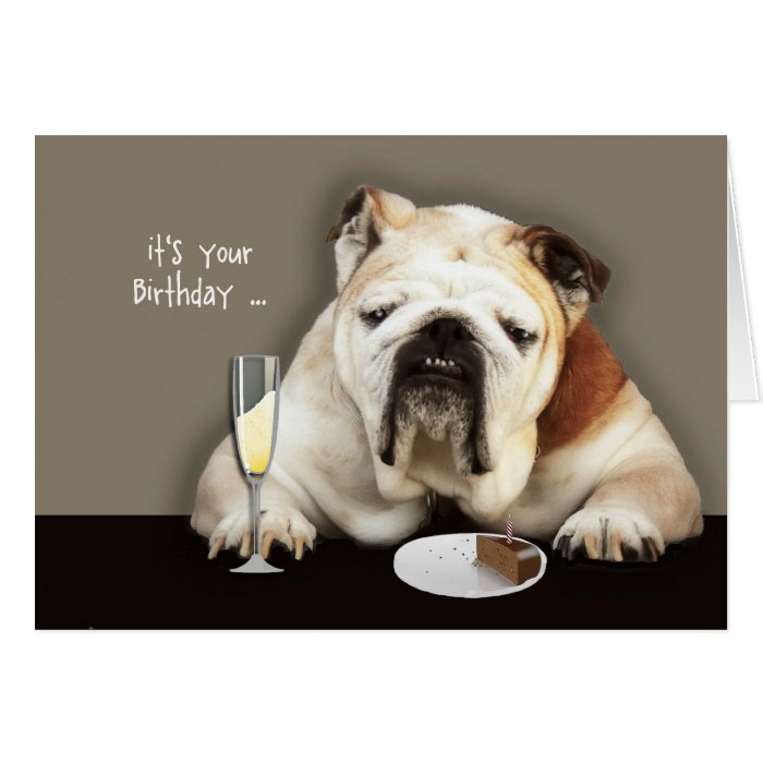happy over the hill birthday, birthday humor, dog cards