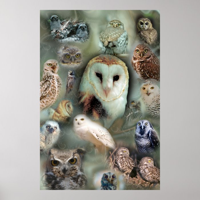 Happy Owls poster print