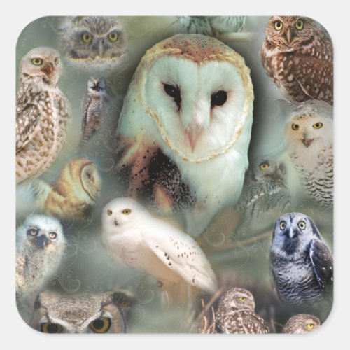 Happy Owls Square Sticker