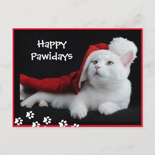 Happy Pawidays Cat Art Postcard