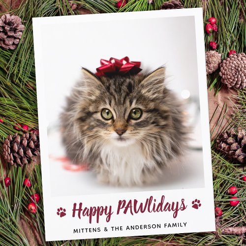 Happy PAWlidays Cat Lover Pet Photo Christmas Holiday Postcard