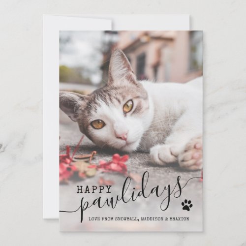 Happy Pawlidays Cat Photo Modern Pet Christmas Hol Holiday Card