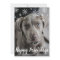 Happy Pawlidays Cute Dog Photo Modern Christmas