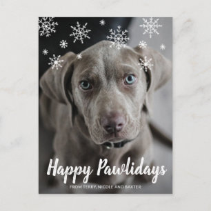 Happy Pawlidays Cute Dog Photo Modern Christmas Holiday Postcard