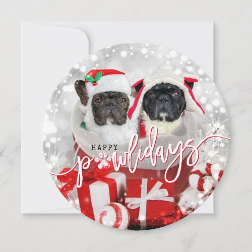 Happy Pawlidays Dog Holiday Photo