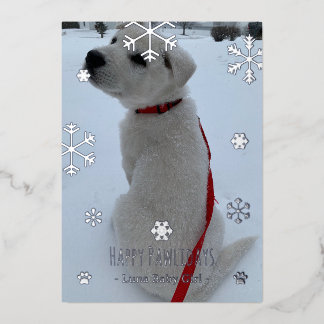 Happy Pawlidays Foil Holiday Card