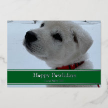 Happy Pawlidays