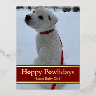Happy Pawlidays Foil Holiday Postcard