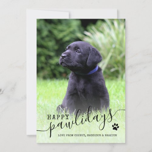Happy Pawlidays Puppy Photo Modern Pet Christmas Holiday Card