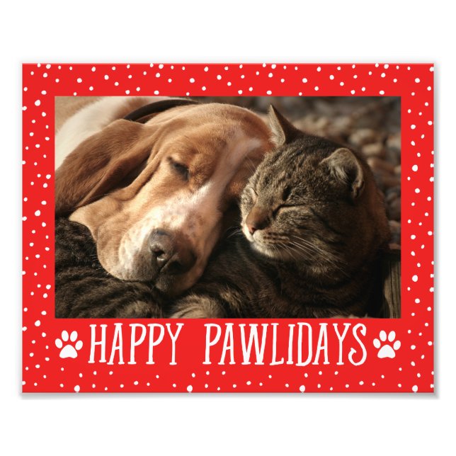 Happy Pawlidays | Red Holiday Photo Print (Front)