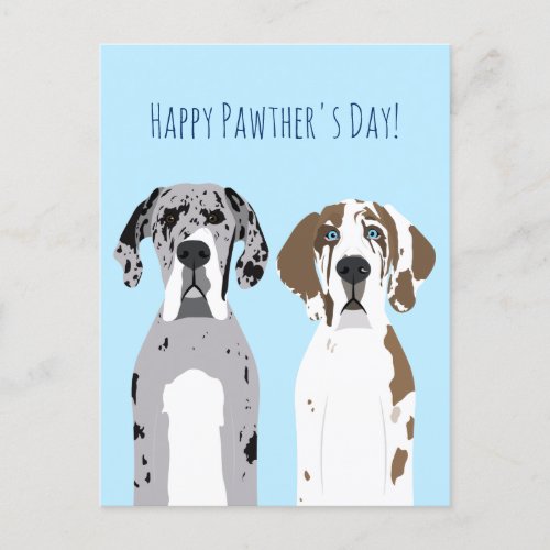 Happy Pawthers Day Cute Great Dane Dogs Blue Postcard