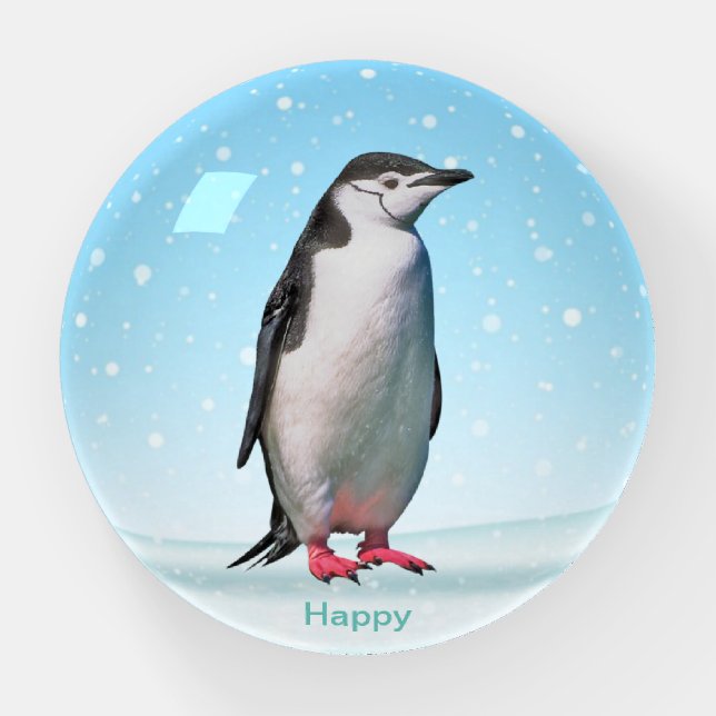 Happy Penguin Bird on Light Blue Paperweight (Front)