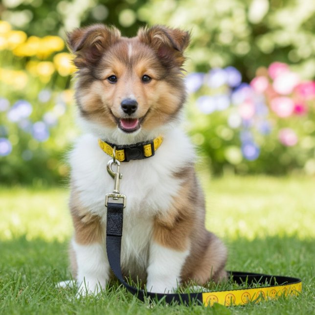 Happy Pet Leash (Creator Uploaded)