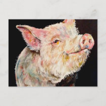 Happy pig. postcard