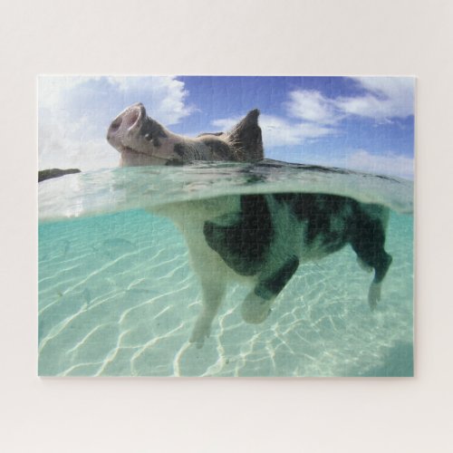 Happy Pig Swimming with the Fishes Jigsaw Puzzle