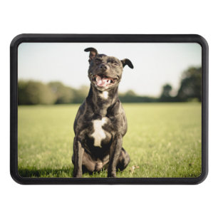 "Happy Pit Bull" Hitch Cover