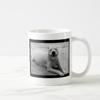 Happy pitbull mug
