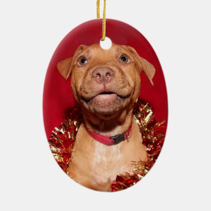 Pitbull Christmas Ornament 