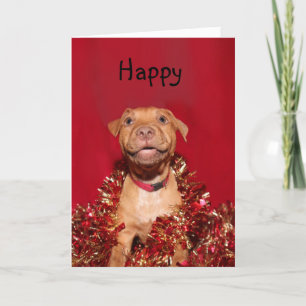 Happy pitbull puppy Christmas Holiday Card