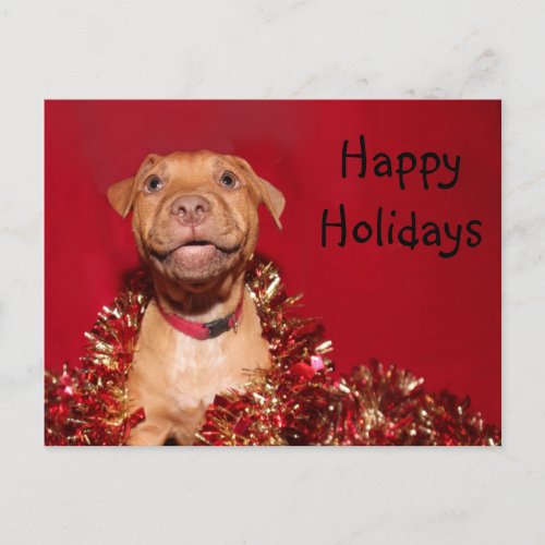 Happy pitbull puppy Christmas Holiday Postcard