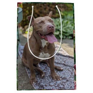 Happy Pitbull with Flowers Photography  Medium Gift Bag