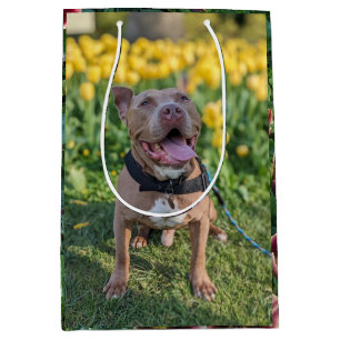 Happy Pitbull with Flowers Photography  Medium Gift Bag