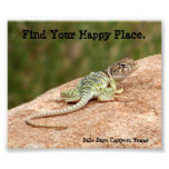 Happy Place Lizard Print