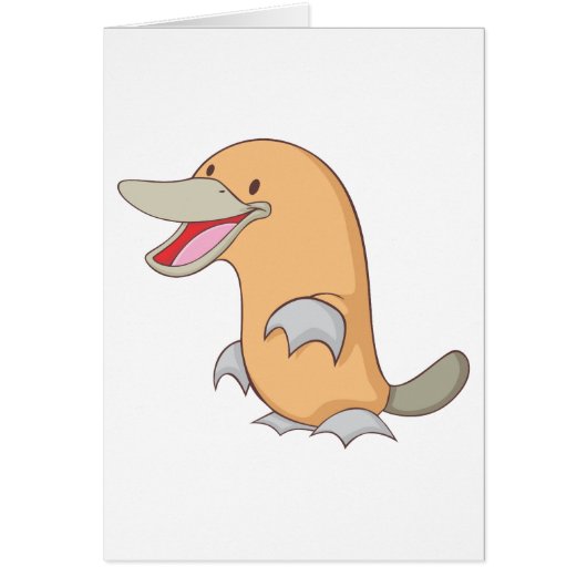 Happy Platypus Cards (Front)