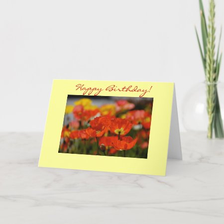 Happy Poppy Birthday Card
