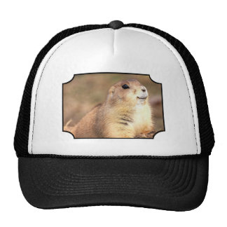 Prairie Dog Hats | Zazzle