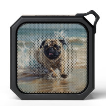 Happy Pug at the Beach
