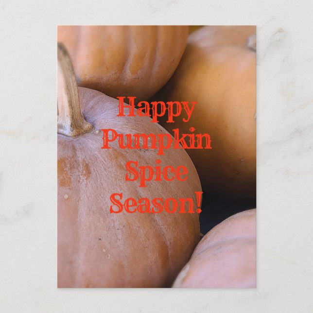 Happy Pumpkin Spice Season!  Postcard (Front)