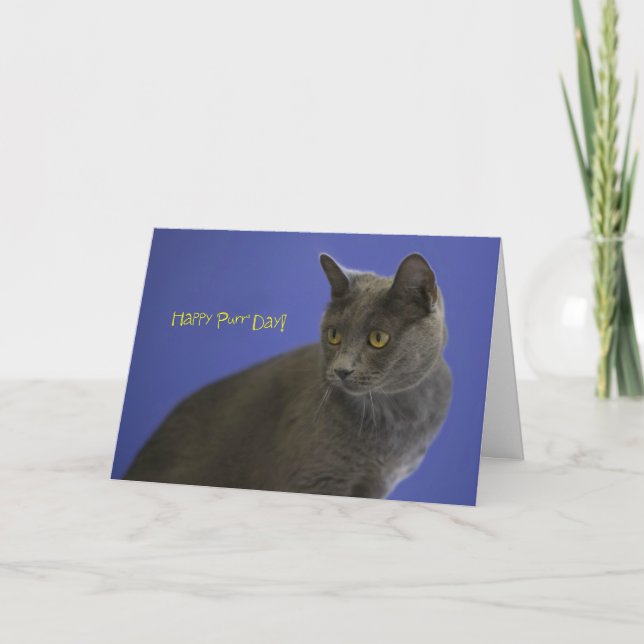 Happy Purr Day Russian Blue by Focus for a Cause Card (Front)