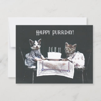 Happy Purrday Cute Cats Vintage Birthday Postcard