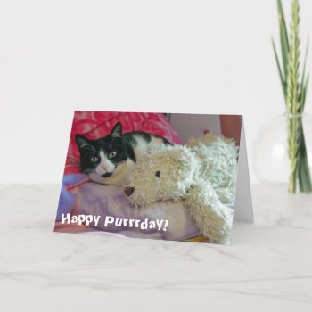 Happy Purrrday Cat Card by Pictural at Zazzle