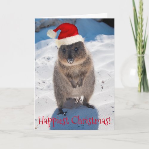 Happy Quokka Christmas  New Year Card