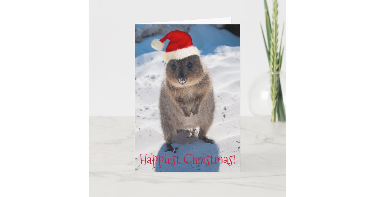 Happy Quokka Christmas &amp; New Year Card | Zazzle.com