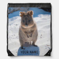 Happy Quokka on the beach Australia