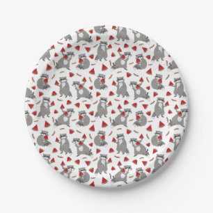 Happy raccoon with watermelon paper plates