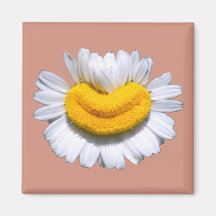 Happy Radiant Chamomile Smile