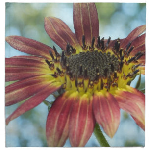 Happy Red Sunflower Napkins