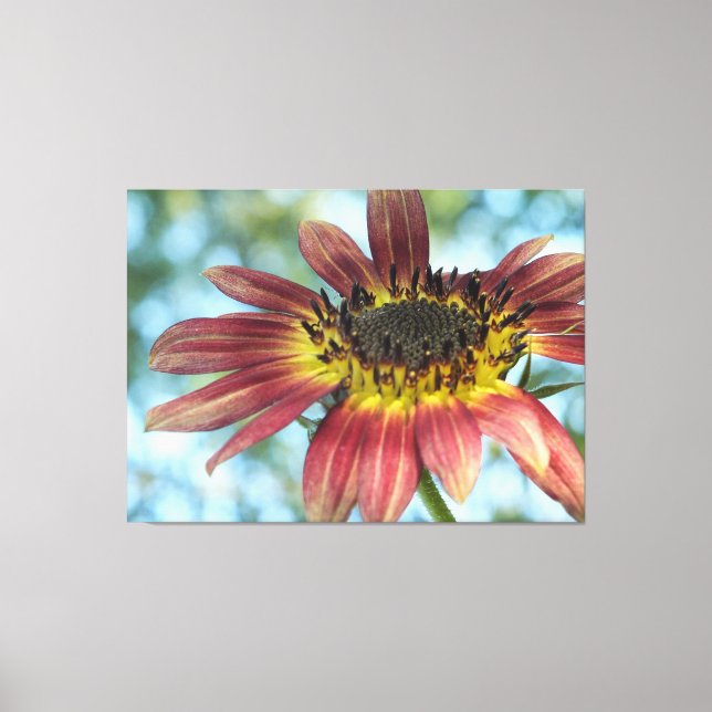 Happy Red Sunflower Wrapped Canvas Print (Front)