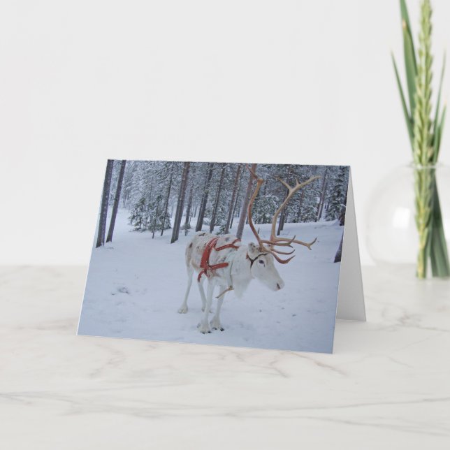 Happy reindeer holiday card (Front)