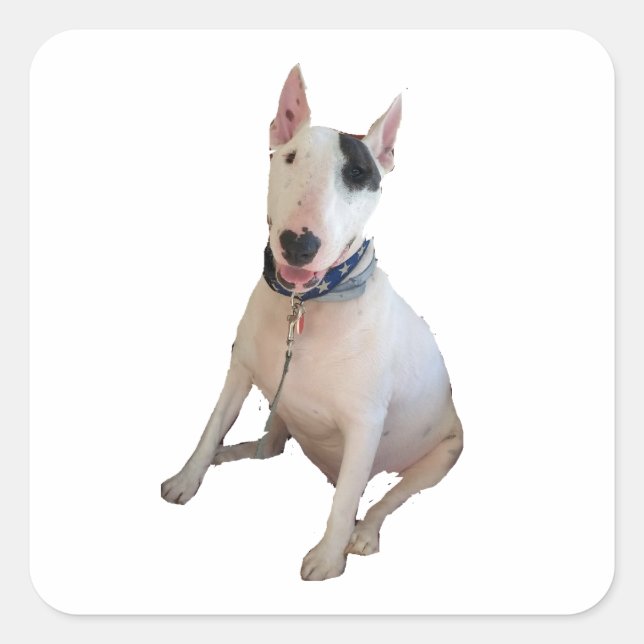 Happy Rex sticker (Front)