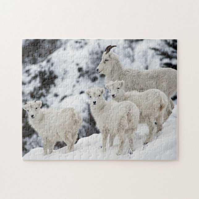 Happy Sheep Family Jigsaw Puzzle (Horizontal)