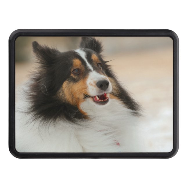 Happy Shelty Air Freshener Hitch Cover (Front)