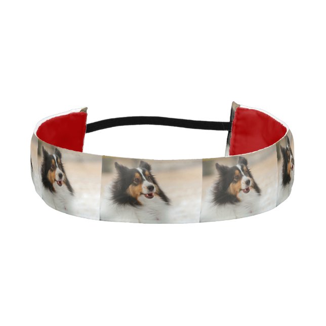 Happy Shelty Athletic Headband (Front)